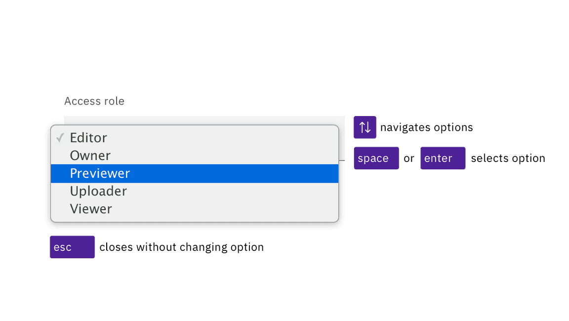 illustration showing an open select with the focus on the Previewer option while the Editor option is already selected